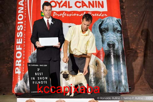 Clique sobre a foto para fechar